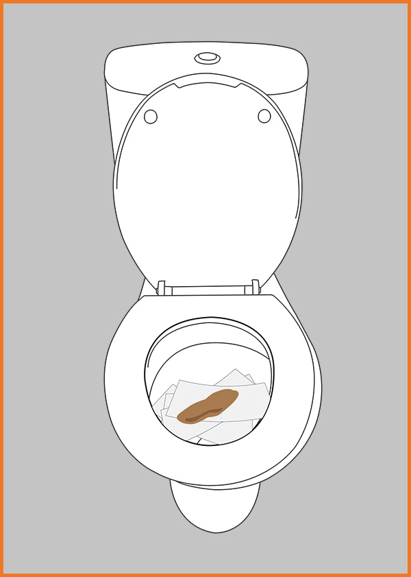 Toilet-with-paper-and-stool