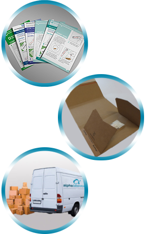 Service_Options FIT Service Components